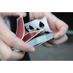 Erdnase Red Acorn Cambric Playing Cards
