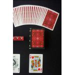 Bee RTJC Watermelon Red Cartes Deck Playing Cards