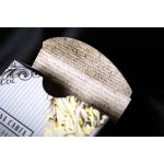 Magna Carta Rebels Cartes Deck