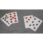 Bicycle Autumn Playing Cards﻿