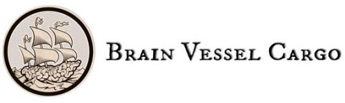 Brain Vessel Cargo